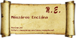 Mészáros Enciána névjegykártya